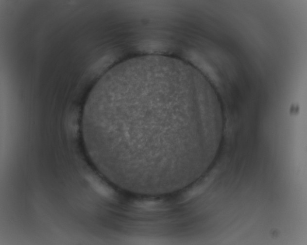 X0000094910065200712131502