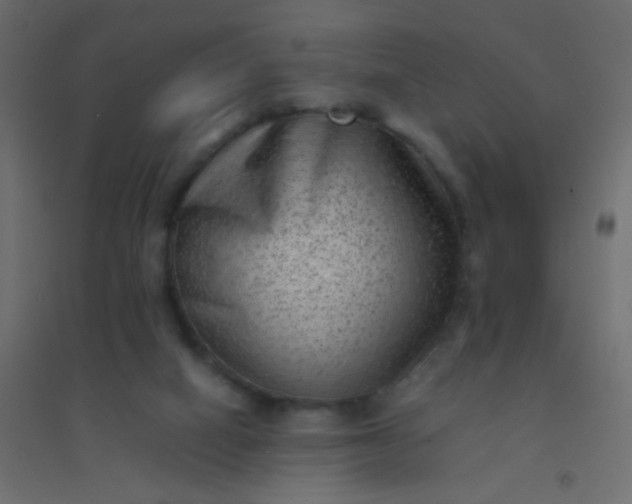 X0000094910066200712131502