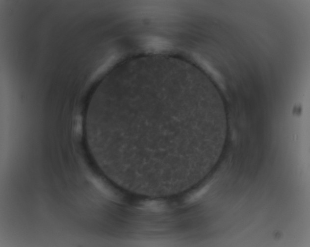X0000094910067200712131502