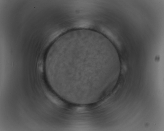 X0000094910068200712131502