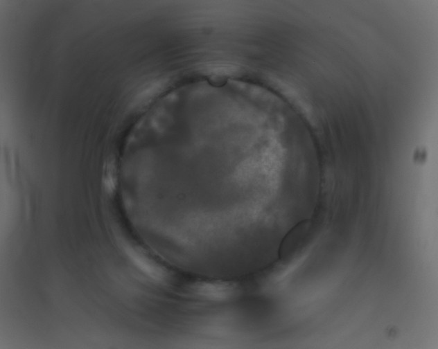 X0000094910069200712131502