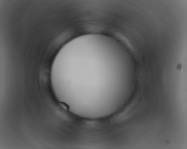 X0000094910071200712131502