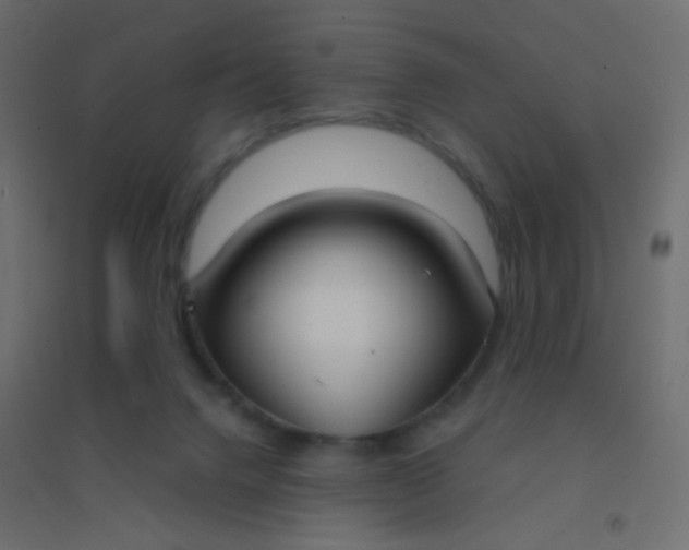 X0000094910072200712131502