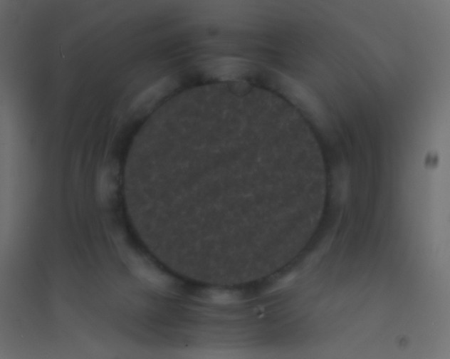 X0000094910073200712131502