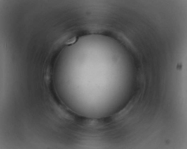X0000094910074200712131502