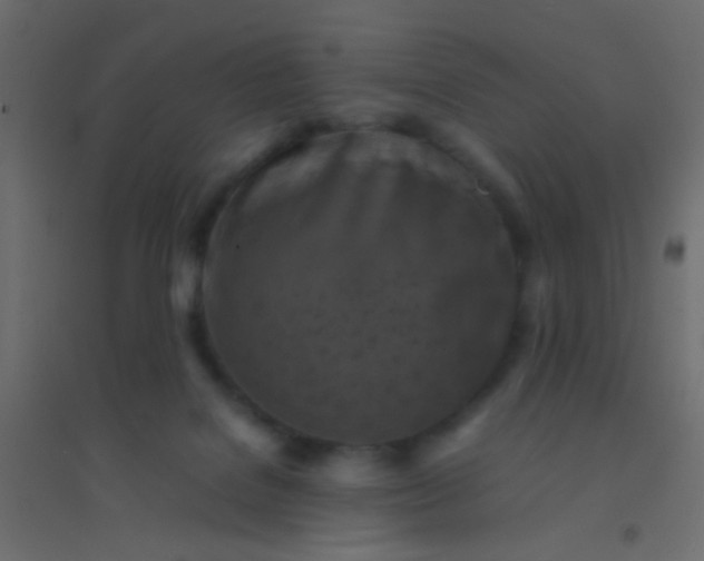 X0000094910076200712131502