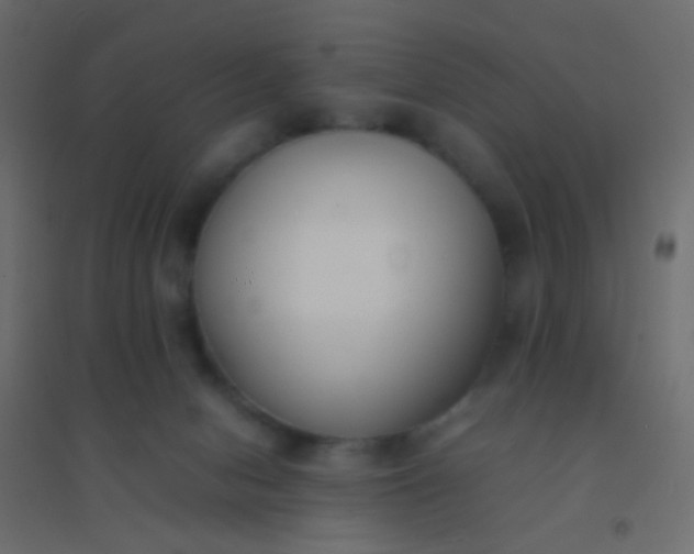 X0000094910078200712131502