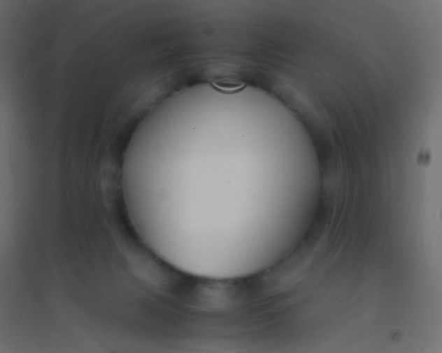 X0000094910079200712131502