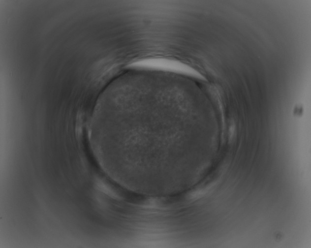 X0000094910080200712131502