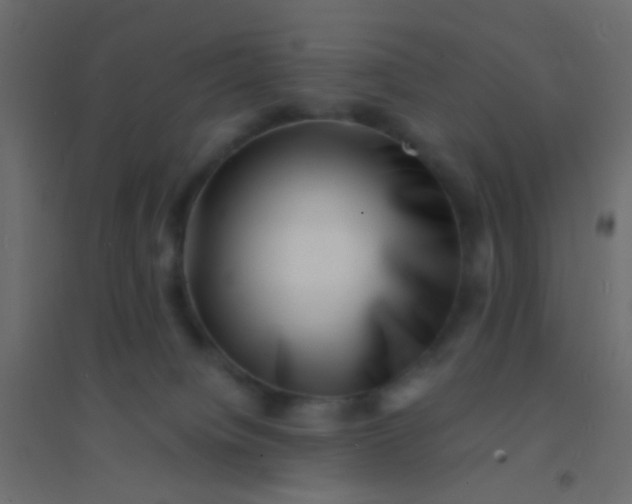X0000094910084200712131502