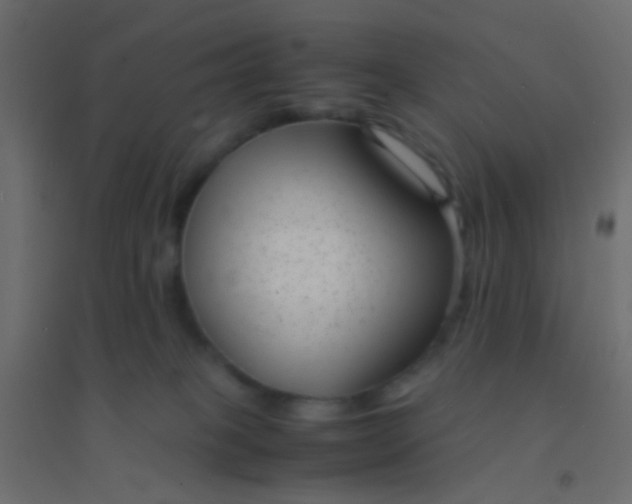 X0000094910085200712131502