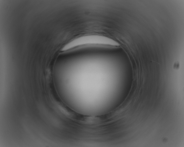 X0000094910087200712131502