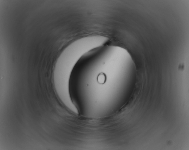 X0000094910088200712131502