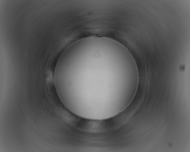 X0000094910089200712131502