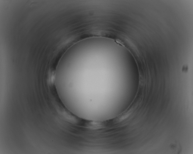 X0000094910095200712131502