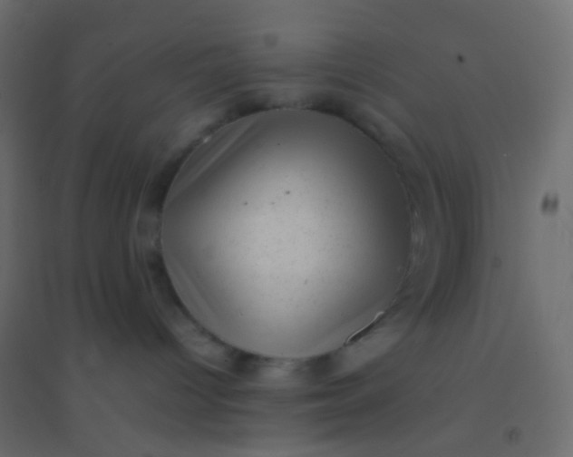 X0000094910096200712131502