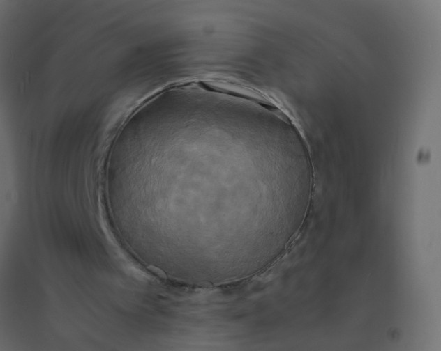 X0000094910097200712131501