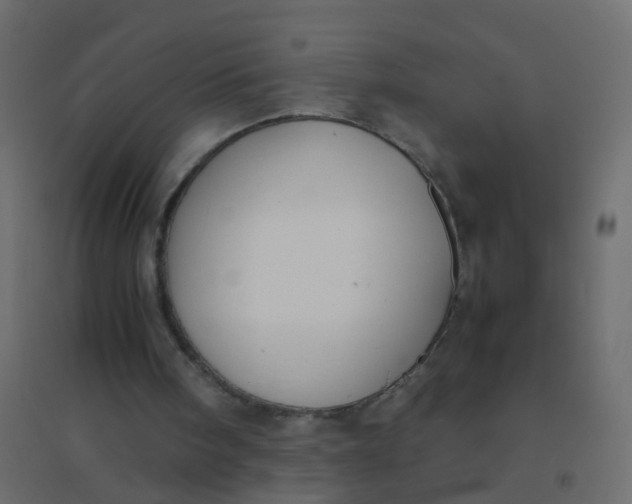 X0000094910098200712131501