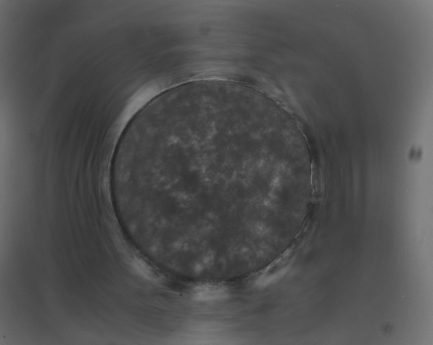 X0000094910099200712131501