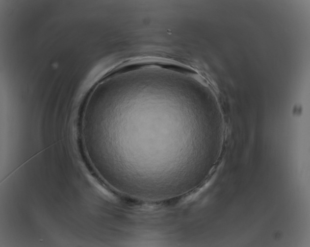 X0000094910101200712131501