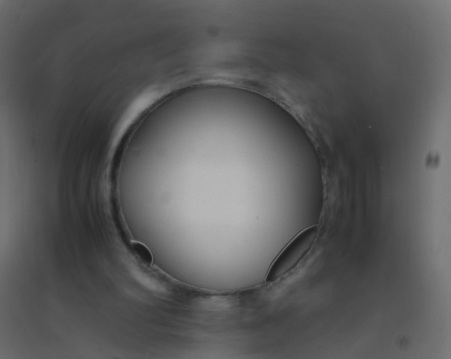 X0000094910102200712131501