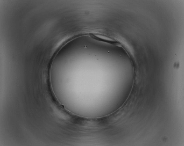 X0000094910107200712131501
