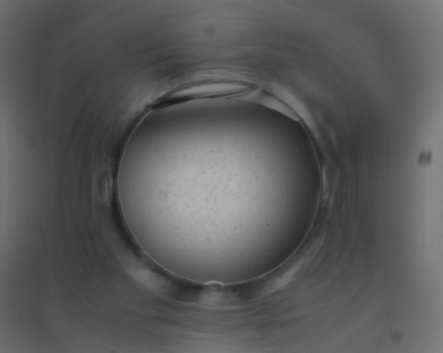 X0000094910109200712131501