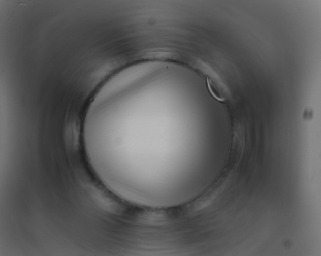 X0000094910110200712131501