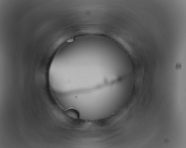 X0000094910111200712131501