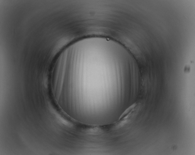 X0000094910112200712131501