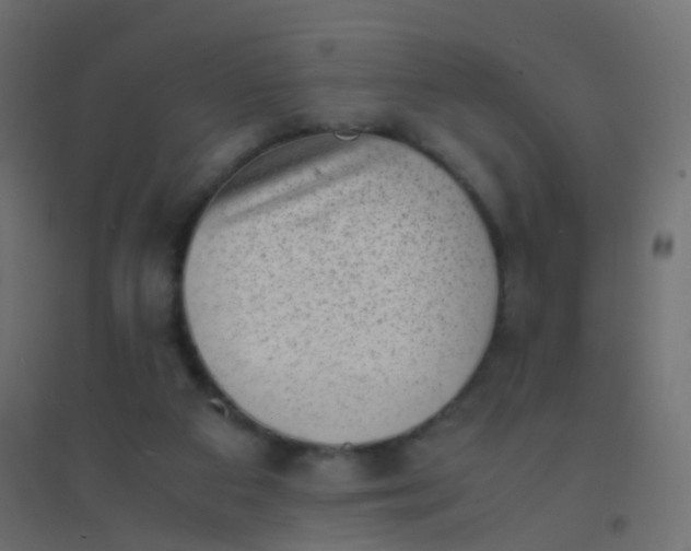 X0000094910113200712131501