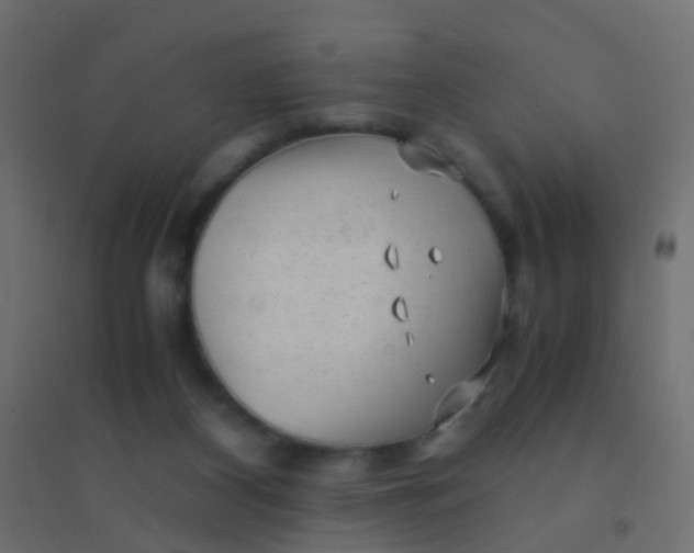 X0000094910116200712131501