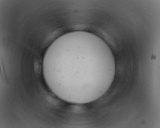 X0000094910118200712131501