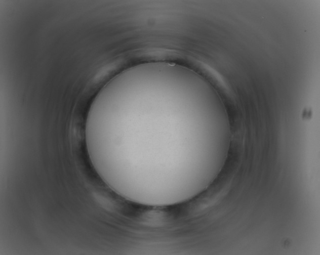 X0000094910119200712131501