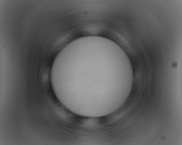 X0000094910122200712131501