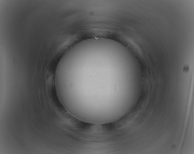 X0000094910123200712131501