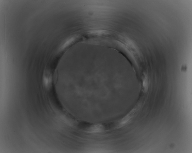 X0000094910124200712131501