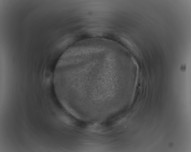 X0000094910125200712131501