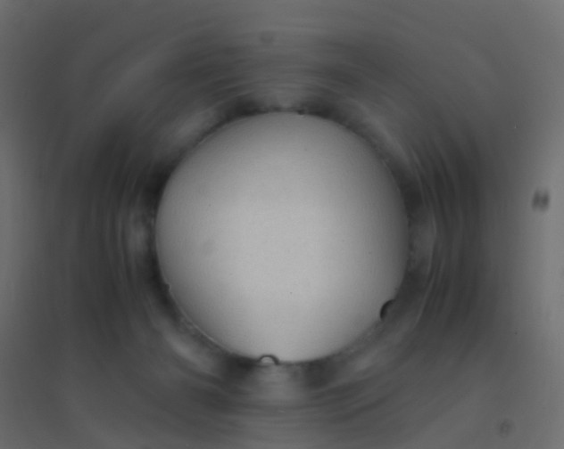 X0000094910126200712131501