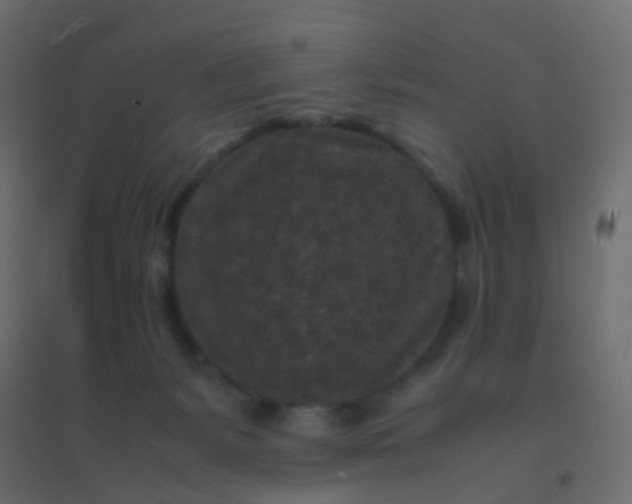 X0000094910127200712131501