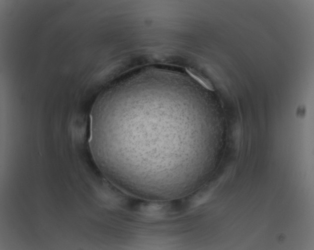 X0000094910129200712131501