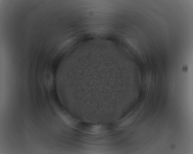 X0000094910130200712131501