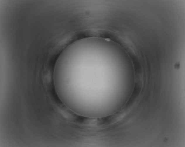 X0000094910131200712131501