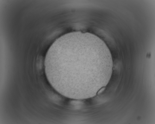 X0000094910133200712131501