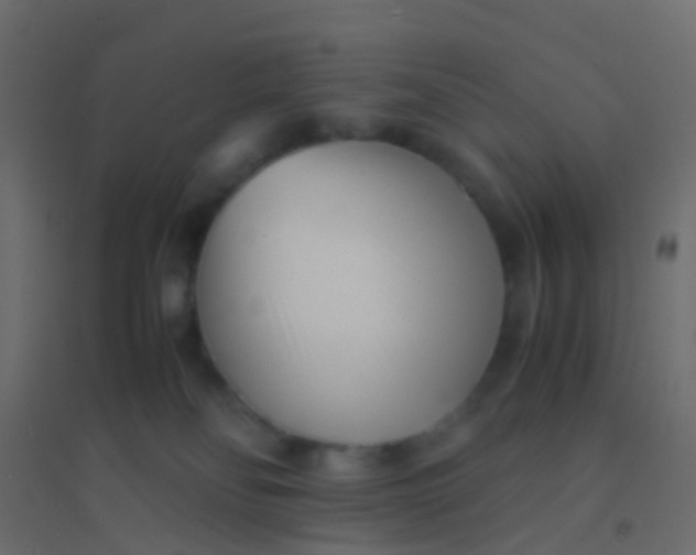 X0000094910134200712131501