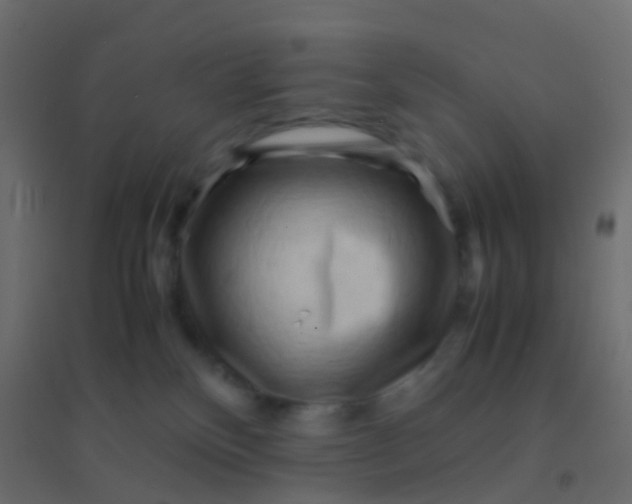 X0000094910136200712131501