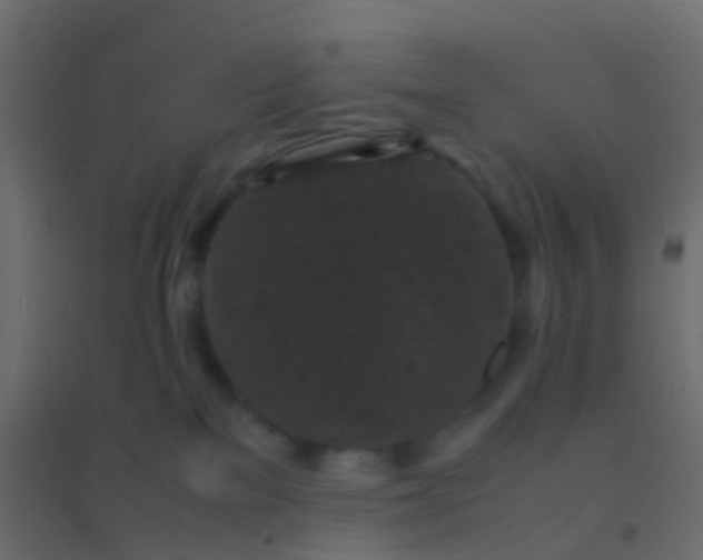 X0000094910137200712131501