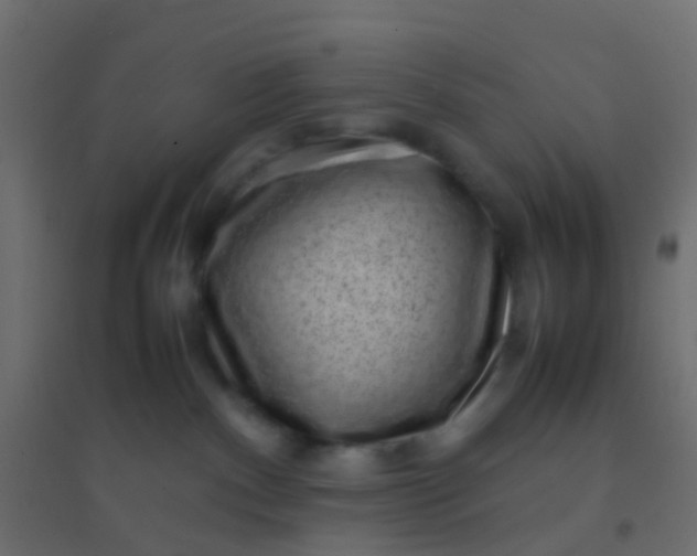 X0000094910140200712131501