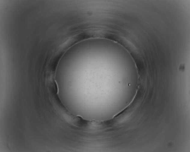 X0000094910141200712131501