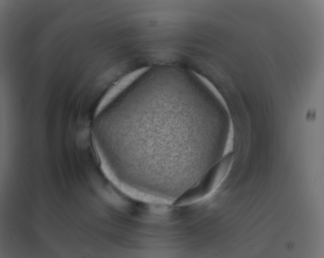 X0000094910144200712131501